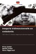 Imagerie tridimensionnelle en endodontie - Bild 1