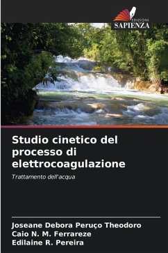 Studio cinetico del processo di elettrocoagulazione - Peruço Theodoro, Joseane Debora;M. Ferrareze, Caio N.;Pereira, Edilaine R.