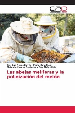 Las abejas melíferas y la polinización del melón - Reyes Carrillo, José Luis;Cano Ríos, Pedro;Rubi Muñoz Soto, Alejandro Moreno Reséndez y