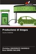 Produzione di biogas - Bild 1