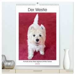 Der Westie - Portrait eines West Highland White Terriers (hochwertiger Premium Wandkalender 2025 DIN A2 hoch), Kunstdruck in Hochglanz - Calvendo;Rohde, Angela