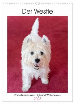 Der Westie - Portrait eines West Highland White Terriers (Wandkalender 2025 DIN A3 hoch), CALVENDO Monatskalender