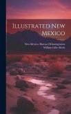 Illustrated New Mexico