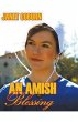 An Amish Blessing - Bild 1