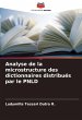 Analyse de la microstructure des... - Bild 1