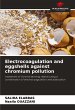 Electrocoagulation and eggshells... - Bild 1