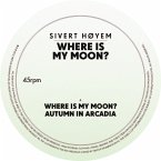 Where Is My Moon?