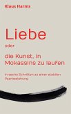 Liebe oder die Kunst, in Mokassins zu laufen (eBook, ePUB)