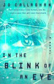 In the Blink of an Eye (eBook, ePUB)