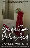 Seduction Unleashed (eBook, ePUB)