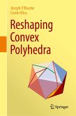 Reshaping Convex Polyhedra (eBook, PDF)