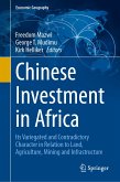 Chinese Investment in Africa (eBook, PDF)