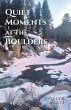 Quiet Moments at the Boulders - Bild 1