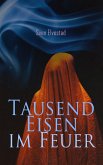 Tausend Eisen im Feuer (eBook, ePUB)