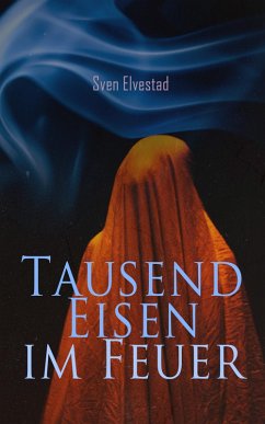 Tausend Eisen im Feuer (eBook, ePUB) - Elvestad, Sven