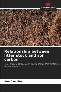 Relationship between litter stock and soil carbon - Carrilho, Ane