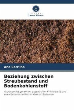 Beziehung zwischen Streubestand und Bodenkohlenstoff - Carrilho, Ane