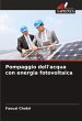 Pompaggio dell'acqua con energia... - Bild 1