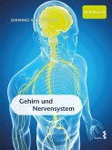 Gehirn und Nervensystem (eBook, ePUB)
