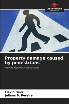 Property damage caused by pedestrians - Diniz, Flávio;B. Pereira, Juliana