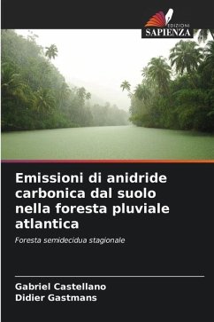 Emissioni di anidride carbonica dal suolo nella foresta pluviale atlantica - Castellano, Gabriel;Gastmans, Didier