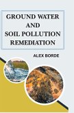 Ground Water and Soil Pollution Remediation