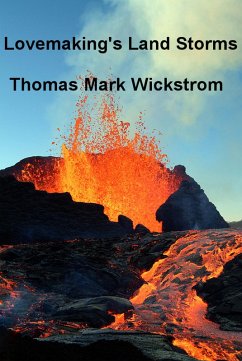 Cover Lovemaking's Land Storms (eBook, ePUB)