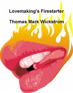 Cover Lovemaking's Firestarter (eBook, ePUB)