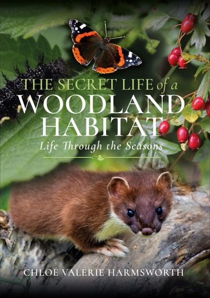 The Secret Life of a Woodland Habitat (eBook, ePUB) The Secret Life of a Woodland Habitat (eBook, ePUB)
