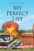 My Perfect Life (eBook, ePUB)
