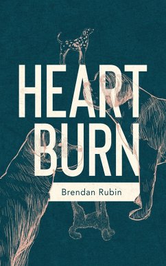Heart Burn (eBook, ePUB) - Rubin, Brendan