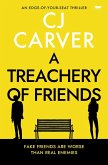 A Treachery of Friends (eBook, ePUB)