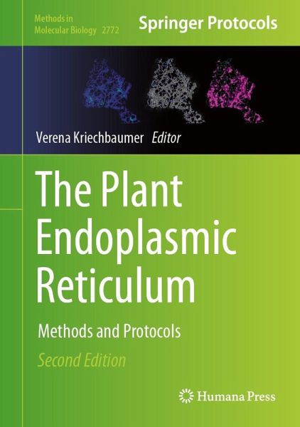 The Plant Endoplasmic Reticulum (eBook, PDF) The Plant Endoplasmic Reticulum (eBook, PDF)