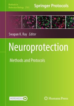 Neuroprotection (eBook, PDF)