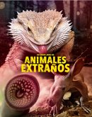 Mi gran libro de animales extraños (eBook, ePUB) Mi gran libro de animales extraños (eBook, ePUB)