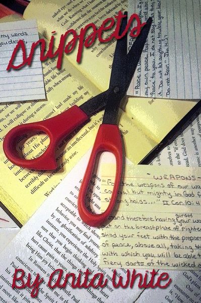 Snippets (eBook, ePUB) Snippets (eBook, ePUB)