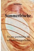 Sommerfrische - oder: ein ganz gewöhnlicher Tag - und andere Kurzgeschichten (eBook, ePUB)