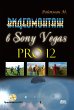 Videomontazh v Sony Vegas Pro 12... - Bild 1