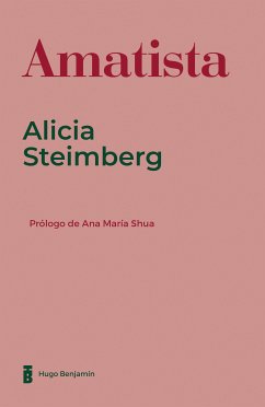 Amatista (eBook, ePUB) - Alicia Steimberg