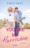 You Are My Hurricane (eBook, ePUB)