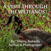 A Visit Through the Wetlands (eBook, ePUB)
