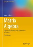 Matrix Algebra (eBook, PDF)