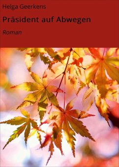 Cover Präsident auf Abwegen (eBook, ePUB)