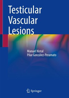 Testicular Vascular Lesions - Nistal, Manuel;González-Peramato, Pilar