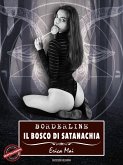 Borderline: Il bosco di Satanachia (eBook, ePUB)