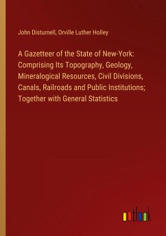 A Gazetteer of the State of New-York: Comprising Its Topography, Geology, Mineralogical Resources, Civil Divisions, Canals, Railroads and Public Institutions; Together with General Statistics - Disturnell, John; Holley, Orville Luther