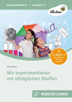 Wir experimentieren mit alltäglichen Stoffen (eBook, PDF) - Masic, Edina