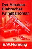 Der Amateur-Einbrecher: Kriminalroman (eBook, ePUB)