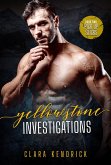 Pick Up Sticks (Yellowstone Investigations, #2) (eBook, ePUB)