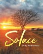 Solace (eBook, ePUB) - Bild 1